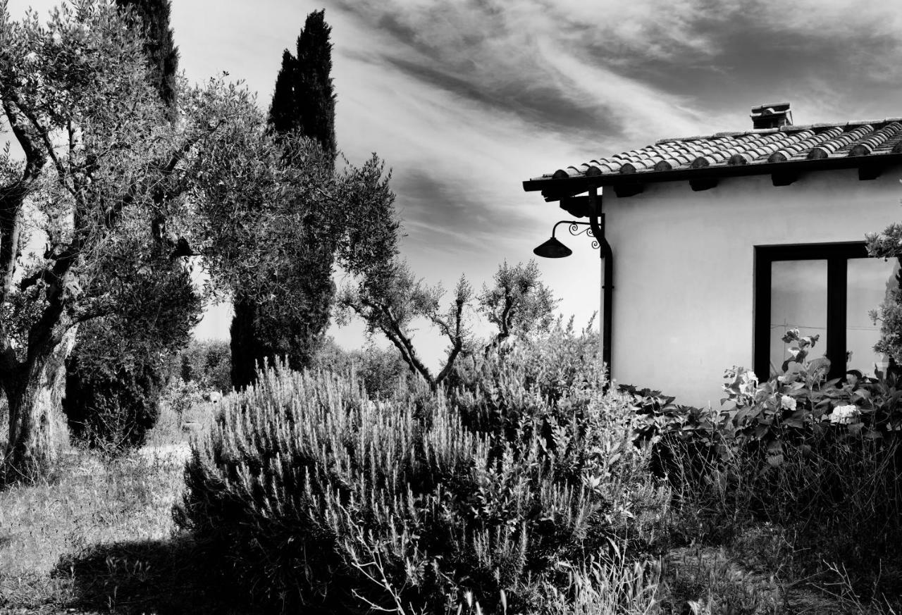 Villa Orti Di Capalbio Exterior foto